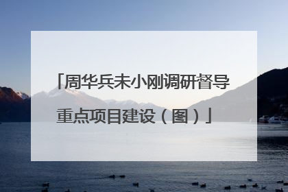 周华兵未小刚调研督导重点项目建设（图）