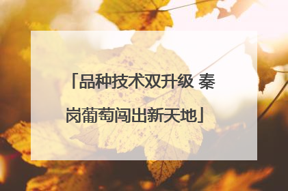 品种技术双升级 秦岗葡萄闯出新天地