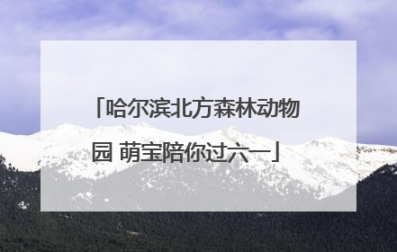 哈尔滨北方森林动物园 萌宝陪你过六一
