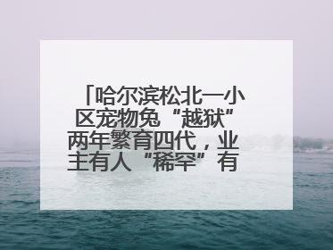 哈尔滨松北一小区宠物兔“越狱”两年繁育四代，业主有人“稀罕”有人忧，专家提醒