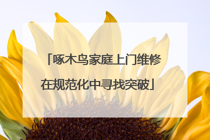 啄木鸟家庭上门维修在规范化中寻找突破
