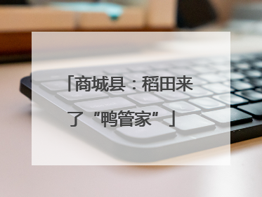 商城县：稻田来了“鸭管家”