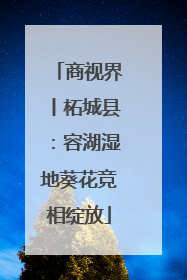 商视界丨柘城县：容湖湿地葵花竞相绽放