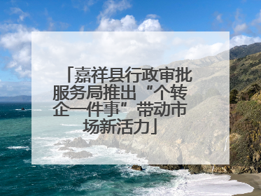 嘉祥县行政审批服务局推出“个转企一件事”带动市场新活力