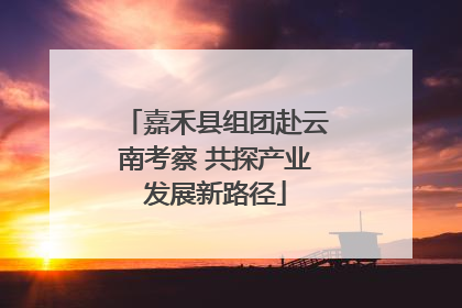 嘉禾县组团赴云南考察 共探产业发展新路径
