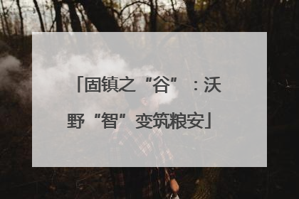 固镇之“谷”：沃野“智”变筑粮安