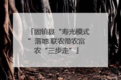 固镇县“寿光模式”落地 联农带农富农“三步走”