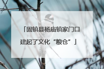 固镇县杨庙镇家门口建起了文化“粮仓”