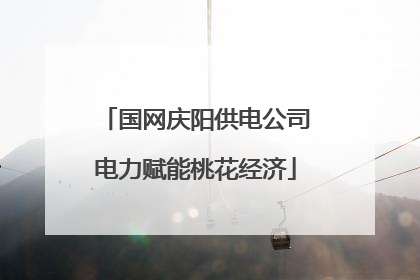国网庆阳供电公司电力赋能桃花经济
