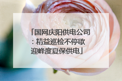 国网庆阳供电公司：精益巡检不停歇 迎峰度夏保供电