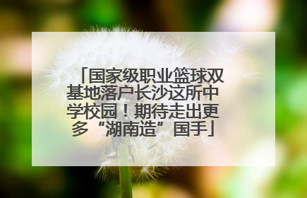 国家级职业篮球双基地落户长沙这所中学校园！期待走出更多“湖南造”国手