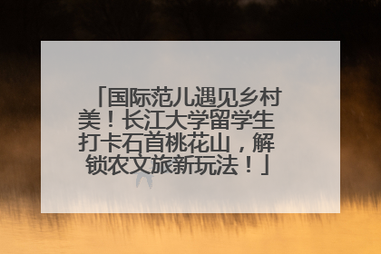 国际范儿遇见乡村美！长江大学留学生打卡石首桃花山，解锁农文旅新玩法！