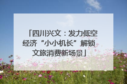 四川兴文：发力低空经济“小小机长”解锁文旅消费新场景
