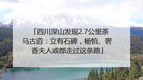 四川深山发现2.7公里茶马古道：立有石碑，杨慎、奢香夫人或都走过这条路