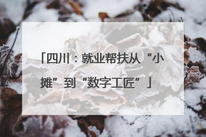 四川：就业帮扶从“小摊”到“数字工匠”