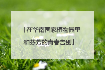 在华南国家植物园里和芬芳的青春告别