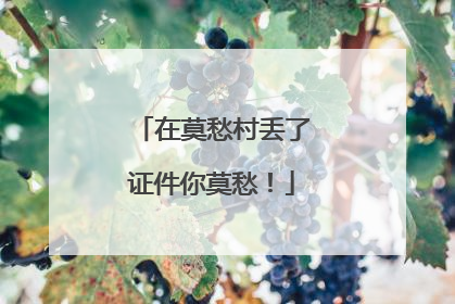 在莫愁村丢了证件你莫愁！