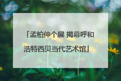 孟柏伸个展 揭幕呼和浩特西贝当代艺术馆
