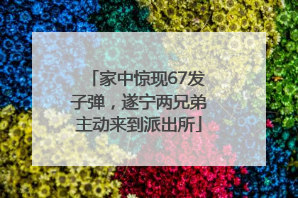 家中惊现67发子弹，遂宁两兄弟主动来到派出所