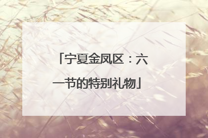 宁夏金凤区：六一节的特别礼物