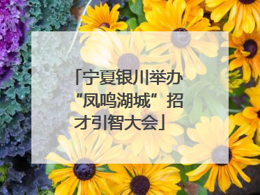 宁夏银川举办“凤鸣湖城”招才引智大会