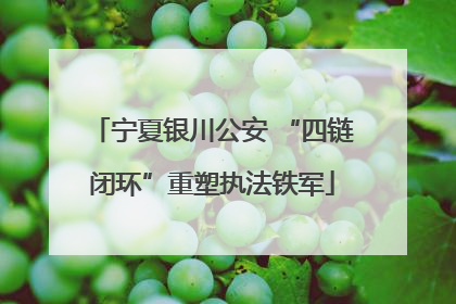 宁夏银川公安 “四链闭环”重塑执法铁军