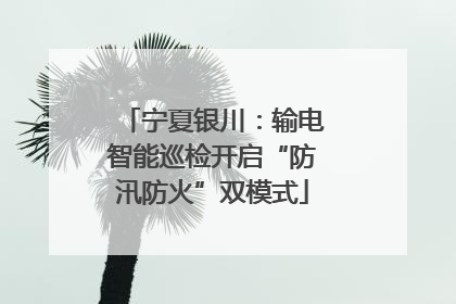 宁夏银川：输电智能巡检开启“防汛防火”双模式