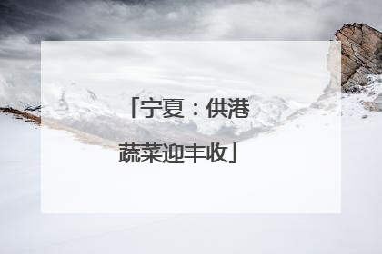 宁夏：供港蔬菜迎丰收