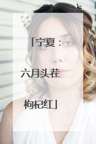 宁夏：六月头茬枸杞红