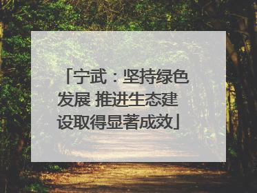 宁武：坚持绿色发展 推进生态建设取得显著成效