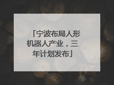 宁波布局人形机器人产业，三年计划发布