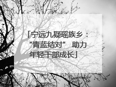 宁远九疑瑶族乡：“青蓝结对” 助力年轻干部成长
