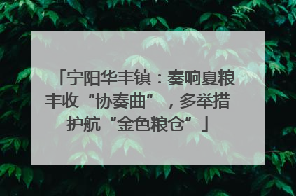 宁阳华丰镇：奏响夏粮丰收“协奏曲”，多举措护航“金色粮仓”