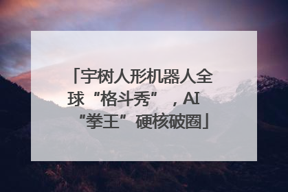 宇树人形机器人全球“格斗秀”，AI“拳王”硬核破圈