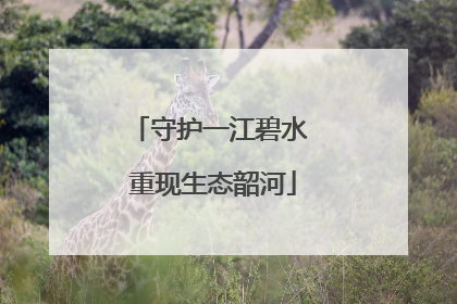 守护一江碧水 重现生态韶河