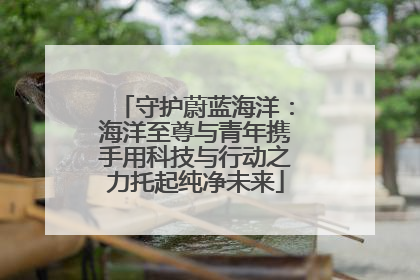 守护蔚蓝海洋：海洋至尊与青年携手用科技与行动之力托起纯净未来