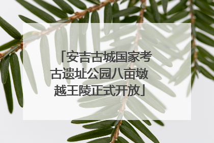 安吉古城国家考古遗址公园八亩墩越王陵正式开放