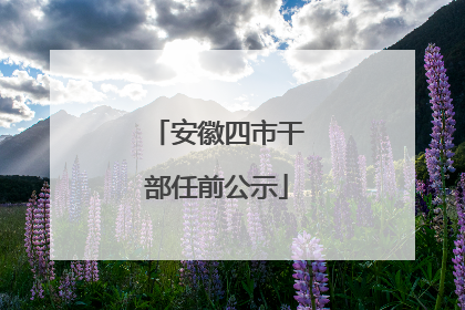 安徽四市干部任前公示