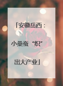 安徽岳西：小桑蚕“织”出大产业