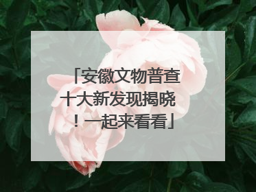 安徽文物普查十大新发现揭晓！一起来看看