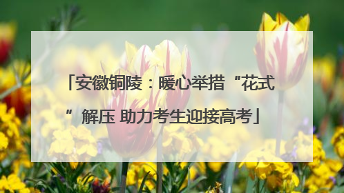 安徽铜陵：暖心举措“花式”解压 助力考生迎接高考