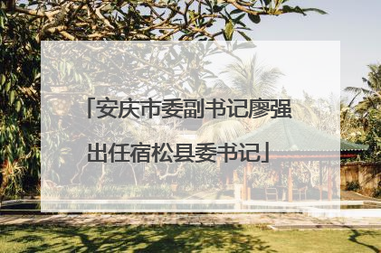 安庆市委副书记廖强出任宿松县委书记