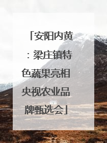 安阳内黄：梁庄镇特色蔬果亮相央视农业品牌甄选会