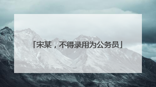 宋某，不得录用为公务员