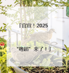 官宣！2025“粤超”来了！