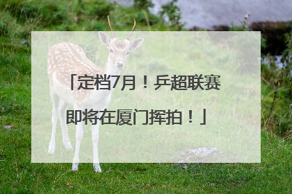 定档7月！乒超联赛即将在厦门挥拍！