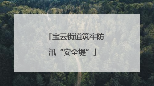 宝云街道筑牢防汛“安全堤”