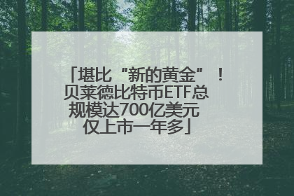 堪比“新的黄金”！贝莱德比特币ETF总规模达700亿美元 仅上市一年多