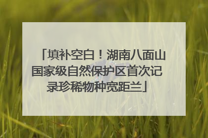 填补空白！湖南八面山国家级自然保护区首次记录珍稀物种宽距兰