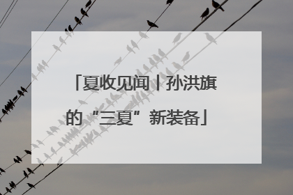 夏收见闻丨孙洪旗的“三夏”新装备